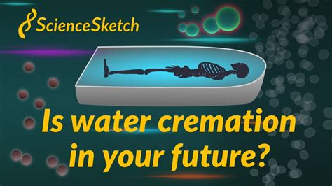 Is Water Cremation in Your Future? - YouTube