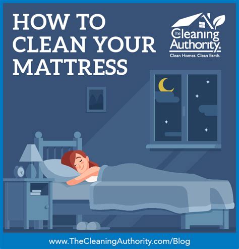 The Cleaning Authority How To Clean Your Mattress