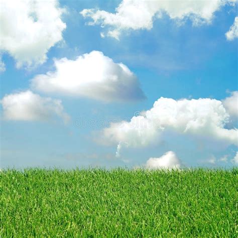 Green Field And Blue Sky With Light Clouds Stock Photo Image Of