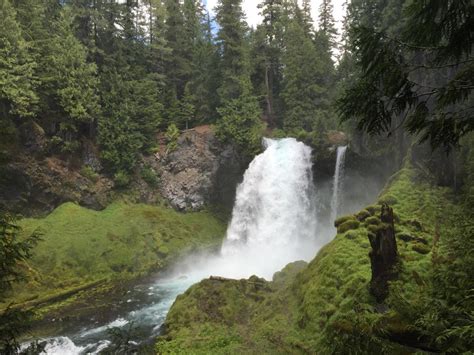 Go Mckenzie River Waterfalls Eugene Cascades And Oregon Coast