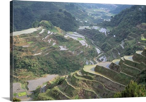 Go on a world tour with playgrounds the art department. Rice terraces at Banaue, island of Luzon, Philippines Wall Art, Canvas Prints, Framed Prints ...