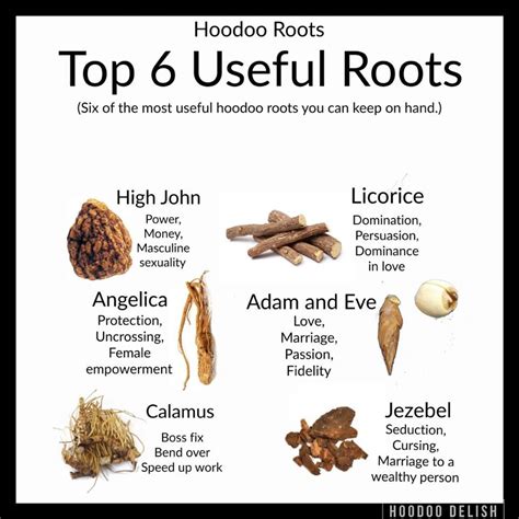 The Top Useful Root Roots