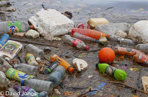 Plastic Pollution Just One Ocean Ocean Pollution Plastic Pollution