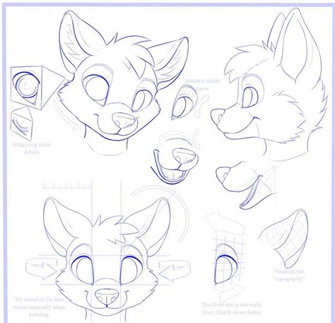 How To Draw Furries Step By Step Guide How To Draw