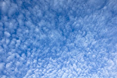 Cirrocumulus Clouds Pictures Images And Stock Photos Istock