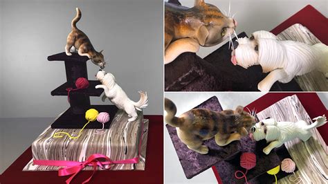 Cat And Dog Cake Yeners Way