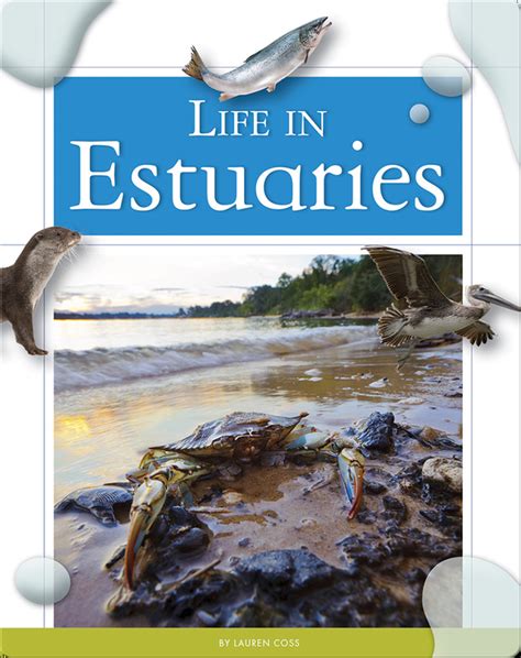 Life In Estuaries Childrens Book By Lauren Coss Discover Childrens