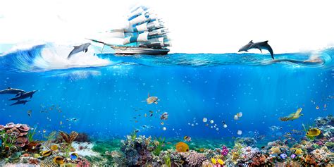 Sea Png Image Underwater Images Ocean Art Background Riset
