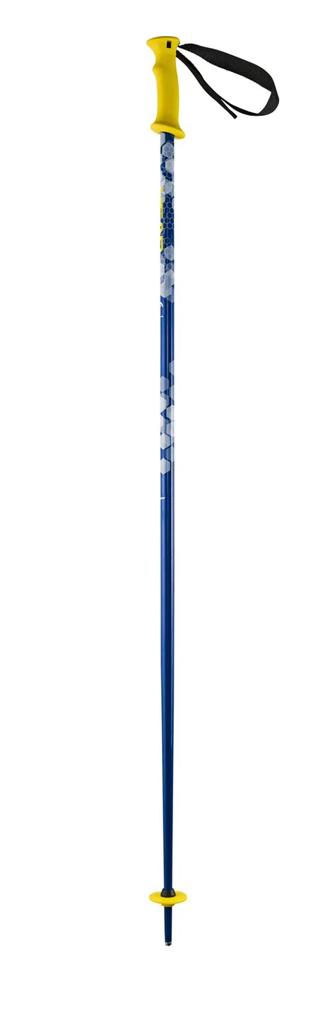 Head Multi Ski Poles Blue