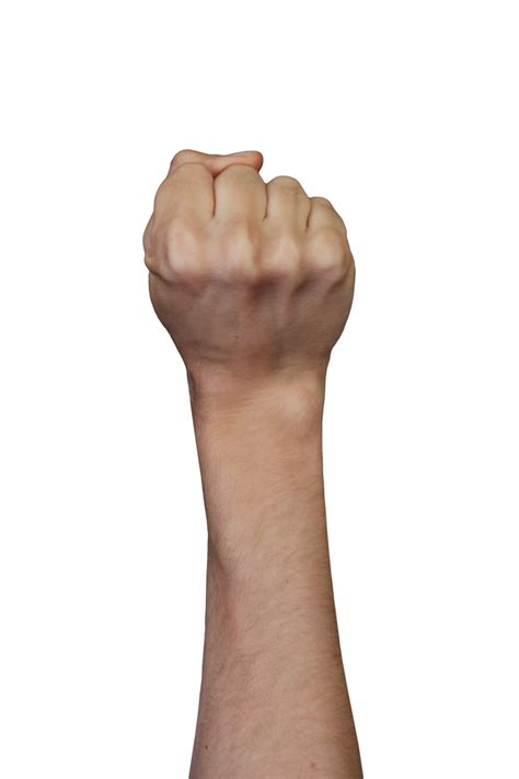 Free Human Hands Fist Back Gestures Realistic Images 19014230 Png With