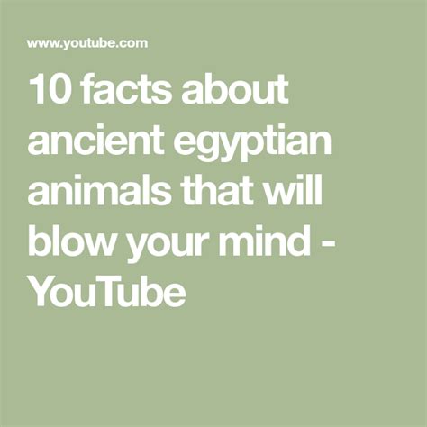 10 Facts About Ancient Egyptian Animals That Will Blow Your Mind