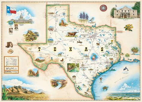 Regions Of Texas Map Puzzle Birch Plywood Etsy Texas