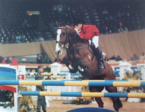 Unter tränen drosch annika schleu bei olympia auf ihr pferd ein, weil sie ihre sicher geglaubte goldmedaille verlor. Olympiasieger Dirk Hafemeister gestorben