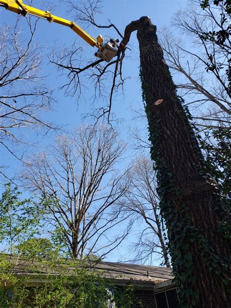 North american tree service has been serving loganville and surrounding areas for over 25 years. Lawrenceville GA Tree Service | E-Z Out Tree Service ...