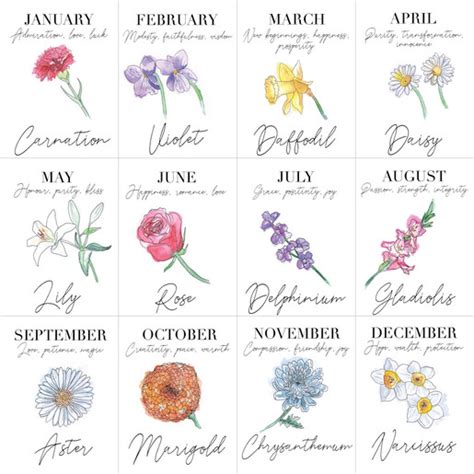 Find out what meaning your birth month flower has! Birth Flower 10cl Bottle of Granite North Gin | Lisa Angel