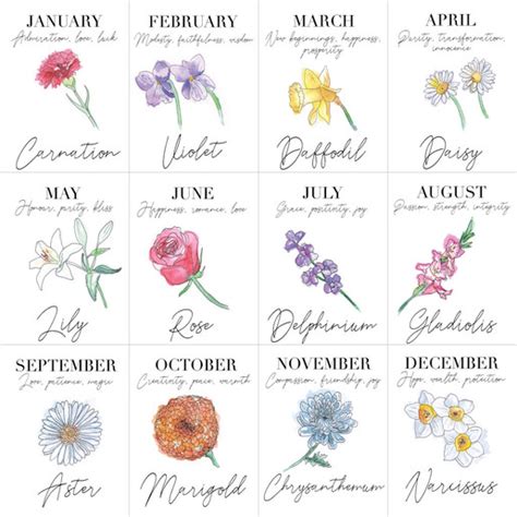 Same day and weekend delivery available. Birth Flower 10cl Bottle of Granite North Gin | Lisa Angel