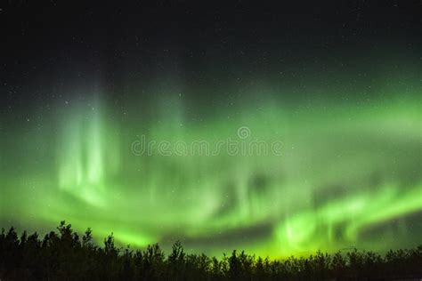 Aurora Borealis Northern Lights In The Skys Of The Yukon Territory