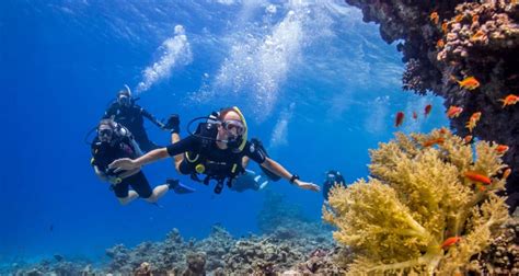 The Top Four Scuba Diving Spots In Egypts Red Sea