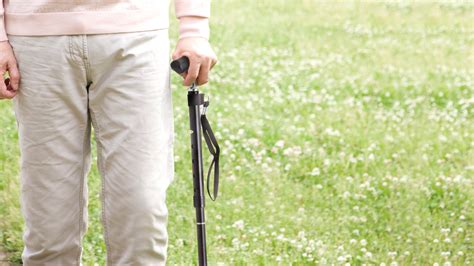 Best Walking Canes And Sticks For All Walks Of Life