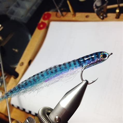 12 Best Striped Bass Fly Patterns Images On Pinterest Fishing Fly