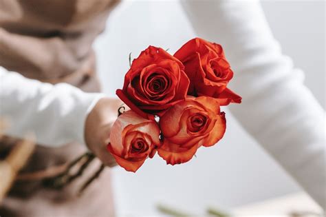 pourquoi les roses sont elles la fleur la plus populaire à la saint valentin myflowers shop