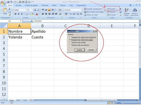 Insertar En Excel Opciones Varias