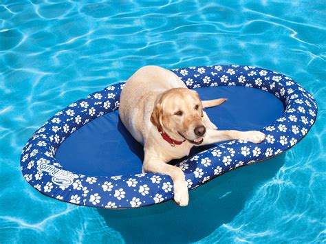 Swimways Spring Float Paddle Paws Dog Pool Float Large 65 Lbs And Up