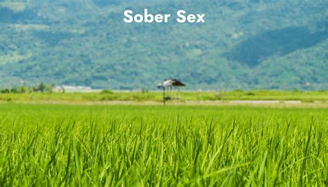 Sober Sex Sobersistas