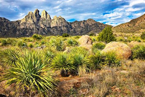 12 Top Rated Attractions And Things To Do In Las Cruces Nm Planetware