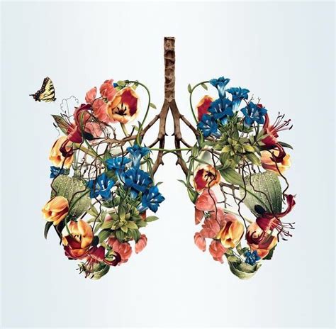 Pretty Lungs Art Anatomy Art Art