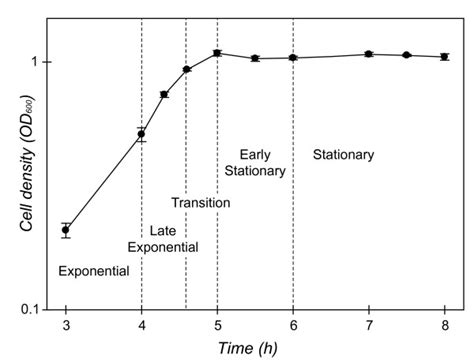 Average Growth Of E Coli O157h7 Sakai In Mops Minimal Medium