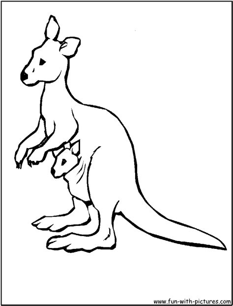It makes a fun colouring page for the kids. Kangaroo coloring pages to download and print for free
