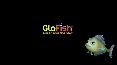 Gloria Glofish Global Pet Expo 2018 Spectrum Brands Anderson Group