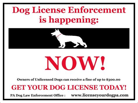 What Is A Lifetime Dog License