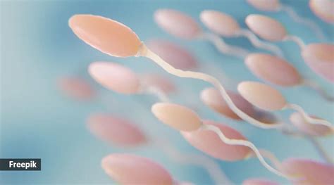 Sperm Donation From Process To Benefits All Your Questions Answered