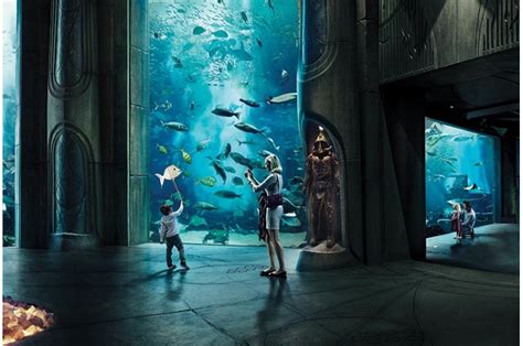 The Lost Chambers Aquarium In Dubai Explore It Now