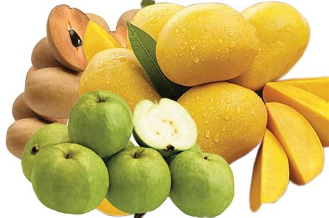 Indian Fruits Manufacturer And Manufacturer From India Id 768996