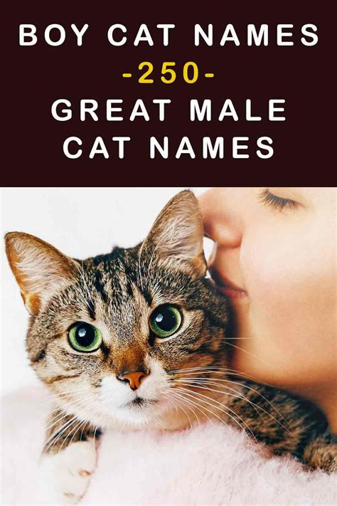 Boy Cat Names 250 Great Male Cat Names From The Happy Cat Site Boy
