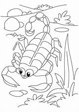 Scorpion Bark Arizona Crafts A4 Coloring Desert Arthropod Insekten Animals Animal Pixels Template Ausmalbilder sketch template
