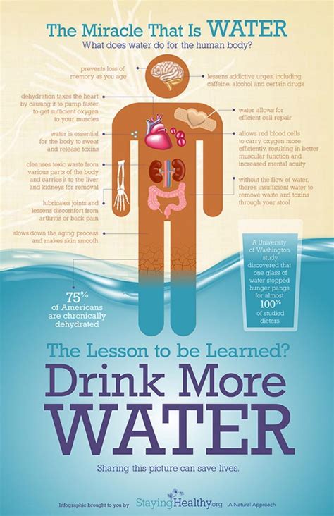 12 Water 46 Health Infographics That You Wish You Knew Years Ago