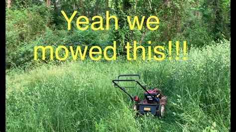 Mowing Extremely Overgrown Lawn With A Stihl Fs 91r Youtube
