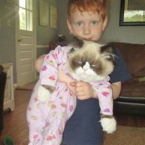 The Beginning Of Grumpy Cat Sick Cat Funny Cat Pictures Funny Cats