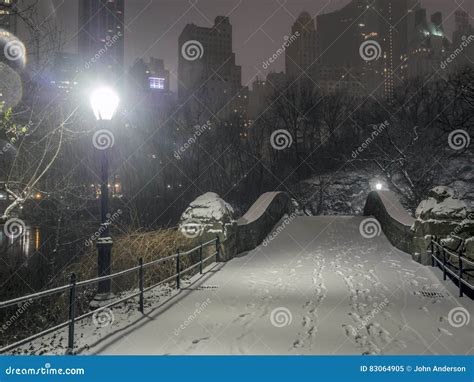 Central Park Del Ponte Di Gapstow New York Alla Notte Immagine Stock