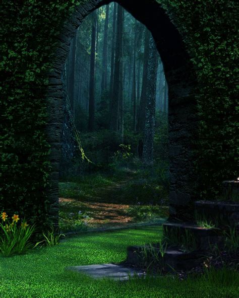 Forest Portal The Enchanted Wood Beautiful World Beautiful Places