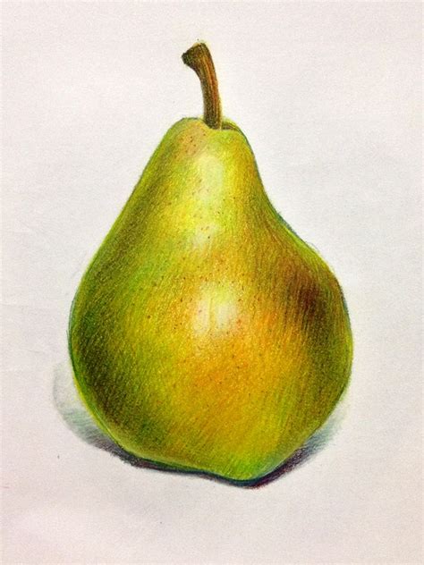 Lauren Yurkovich Food Illustration Fruits Drawing Color Pencil Art