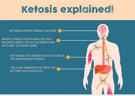 What Is Ketosis And The Keto Diet Seereadshare