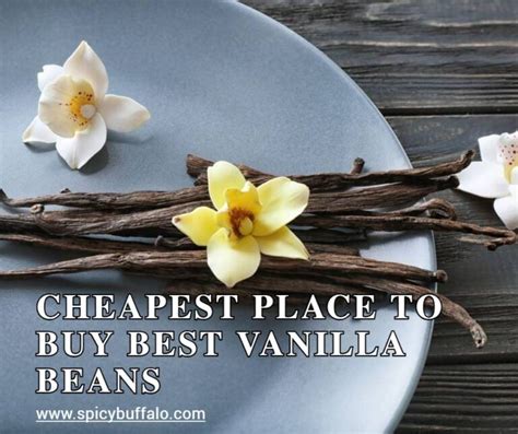 Cheapest Place To Buy Best Vanilla Beans Spicy Buffalo