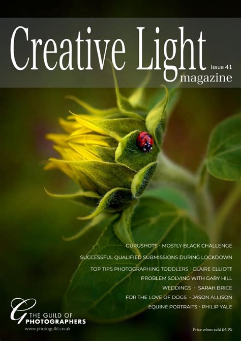 Creative Light Issue 41 2021 Pdf Download Free
