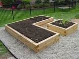 Vegetable Beds For Sale Pictures