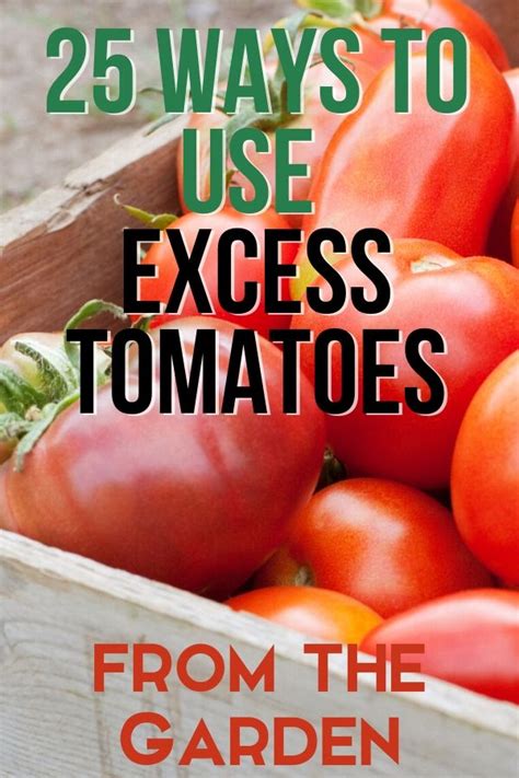 25 Ways To Use Excess Tomatoes From The Garden